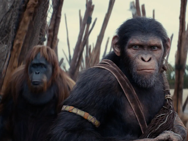 Kingdom of the Planet of the Apes: Uma Evolução Épica da Franquia